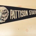 Vintage .Pattison State Park, WIS Felt Pennant Flag Feat. Manitou Falls Alternate View 1