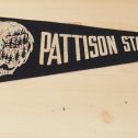 Vintage .Pattison State Park, WIS Felt Pennant Flag Feat. Manitou Falls Main Image