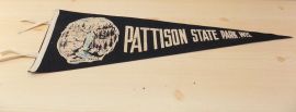 Vintage .Pattison State Park, WIS Felt Pennant Flag Feat. Manitou Falls