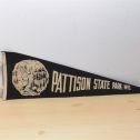 Vintage .Pattison State Park, WIS Felt Pennant Flag Feat. Manitou Falls Alternate View 3